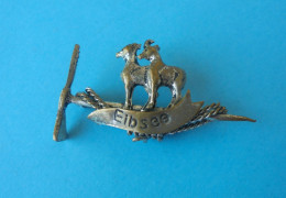 EIBSEE - Germany Old Large Pin Badge Mountaineering Climbing Bergsteigen Ice Ax Piolet Piqueta Deutschland Rope Chamois - Alpinisme