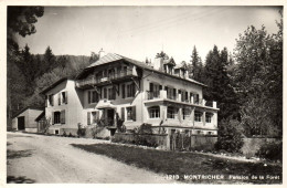 Montricher -Pension De La Forêt - Montricher