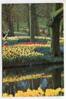 AK 128643 NETHERLANDS - Lisse - Keukenhof - Lisse