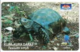 Tortue Tortoise Turtle Cayman Télécarte Indonésie  Phonecard  Telefonkarte (G 936) - Indonesia