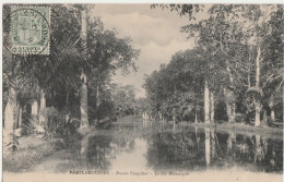 PAMPLEMOUSSES - BASSIN FARQUHAR - JARDIN BOTANIQUE - MAURITIUS - Maurice