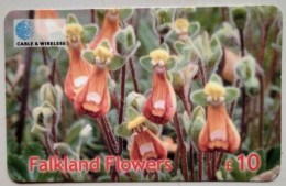 Falkland Islands £10 MINT Prepaid " Lady's Slipper " - Islas Malvinas