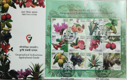 India 2023 GI Fruits Series Grapes Agriculture Mango Gastronomy SS First Day Cover FDC Cuttack Cancelled As Per Scan - Agriculture