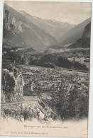 Dav : Suisse :Meyringen : Vue - Meyrin