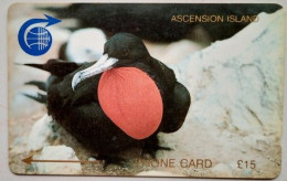 Ascension £15 1CASD " Frigate Bird " - Ascension