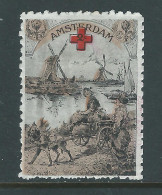 VIGNETTE CROIX-ROUGE DELANDRE - FRANCE Comité D' AMSTERDAM 1916 1917 WWI WW1 Cinderella Poster Stamp 1914 1918 War - Croce Rossa