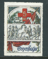 VIGNETTE CROIX-ROUGE DELANDRE - FRANCE Comité De Copenhague 1916 1917 WWI WW1 Cinderella Poster Stamp 1914 1918 War - Cruz Roja