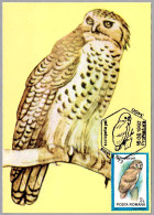 SCOTOPELIA PELI - Lechuza - Pel's Fishing Owl. Cluj Napoca 1992 - Mechanical Postmarks (Advertisement)