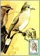 PTILOGONYS CAUDATUS - Capulinero Colilargo - Long-tailed Silky-flycatcher. Cluj Napoca 1992 - Mechanical Postmarks (Advertisement)