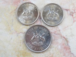 Uganda Set 3 Coins 50 Cents + 1 Shilling 1974 + 1976  KM# 4 - 4a - 5a - Oeganda