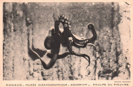 N°351 D MONACO MUSEE OCEANOGRAPHIQUE AQUARIUM POULPE POUR PIEUVRE PUBLICITE BRASSERIE ALSACIENNE - Museo Oceanográfico