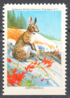 RABBIT NUTALL'S COTTONTAIL Snow - National Wildlife Federation NWF - 1964 USA - LABEL VIGNETTE CINDERELLA - Conejos