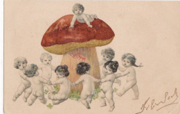 Carte UPU Champignon Ancienne , France, Très Bon état - Champignons