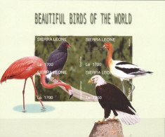 Sierra Leone 2004 , Birds, Flamingo, Bird Of Prey, 4val In BF IMPERFORATED - Flamingos