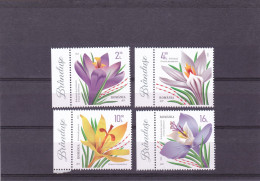 2022, Romania, Crocuses, Flowers, Plants, Flora, 4 Stamps, MNH(**), LPMP 2359 - Ongebruikt