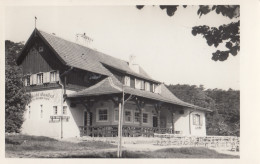 AK - NÖ - Gasthof Mödlinger Kobenzl - H. Hitzinger - 1957 - Mödling