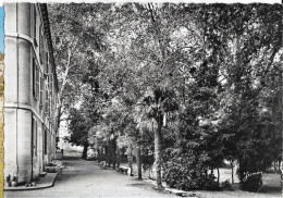 BEAUMES E VENISE (84) Hostellerie Du Château. Parc, Ed. Junon Meyer 483, Cpsm GF, 1954 - Beaumes De Venise