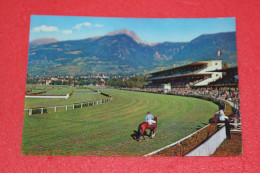 Merano Ippodromo 1957 N. 151 - Merano