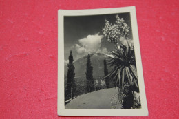 Merano Passeggiata Tappeiner 1950 - Merano