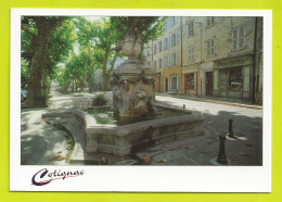 83 COTIGNAC La Fontaine Des 4 Saisons Droguerie VOIR ZOOM Magasin PAULETTE VOIR DOS En 1998 - Cotignac