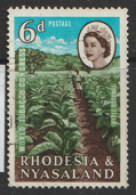 Rhodesia And Nyasaland  1963  SG 44  Tobacco   Fine Used - Rhodesien & Nyasaland (1954-1963)