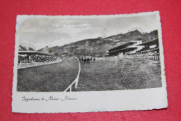 Merano Ippodromo 1952 Foto Celere N. 39577 + Lievi Difetti Da Sporco - Merano