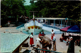 Pennsylvania Pittsburgh Highland Park Children's Zoo Baby Elephant - Pittsburgh