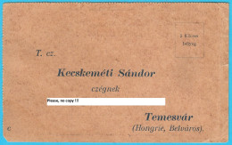 KECSKEMETI SANDOR Czegnek - TEMESVAR (Hungary - Belvaros) Vintage Stationery, Not Travelled * Timișoara - ...-1918 Préphilatélie