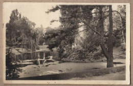 Delcampe - CPSM 59 - DOUAI - Le Jardin Public - TB PLAN Pièce D'eau Arbres - Douai