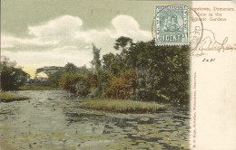GUYANA - BRITISH GUYANA - GEORGETOWN, DEMERARA. VIEW IN THE BOTANIC GARDENS - ED. KAPS - 1906 - British Guiana