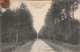 44  - Carte Postale Ancienne De BLAIN    La Forèt Du Gavre - Blain