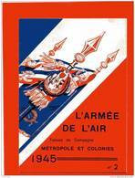 ARMEE DE L AIR 1945 TENUES DE CAMPAGNE METROPOLE ET COLONIES UNIFORME FRANCAIS ANGLAIS ET AMERICAIN COIFFURE INSIGNE - Aviation