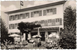 Suisse - Neuchâtel - Gorgier - Hotel Des Tilleuls - Carte Postale Vierge - Gorgier