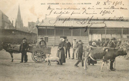 COTES D'ARMOR   GUINGAMP   Les Halles Un Jour De Marché - Guingamp