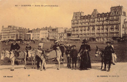 Dieppe * ânes En Promenade * Aniers âne Donkey * Hôtel Villas - Dieppe