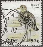 IRELAND 2002 New Currency Birds - 57c. - Western Curlew ('Curlew') FU - Oblitérés