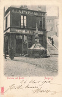 Angers * 1902 * Commerce Magasin A LA PYRAMIDE Poissons De Mer & D'eau Douce * Place Et Fontaine Pied Boulet - Angers