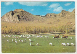 Mongolia Uncirculated Postcard - Bogdyn Gol River , Zabhan Aimak - Mongolei