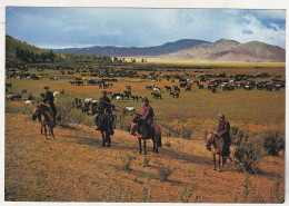 Mongolia Uncirculated Postcard - Herdsmen With Lasso  , Mongolia - Mongolie