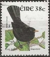 IRELAND 2002 New Currency Birds - 38c. - Blackbird FU - Oblitérés