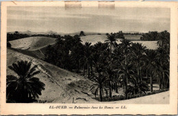 EL OUED - Palmeraie Dans Les Dunes - El-Oued