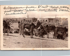 EL OUED - Le Marché    (défaut Scan Le Trait Blanc) - El-Oued