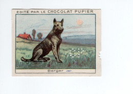 Chromo Animaux Animals Dogs Chiens Berger Didactique Pub: Chocolat Pupier  70 X 50 Mm TB  2 Scans - Autres & Non Classés