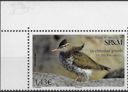 2022 Saint Pierre Et Miquelon  N° 1277  Nf** MNH . Oiseau.  "le Chevalier Grivelé" - Unused Stamps