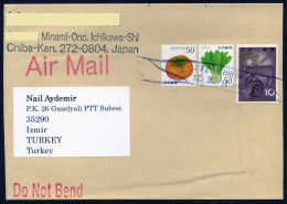 Japan 2013 Vegetable & Fruit | Air Mail Cover Used To İzmir From Ichikawa | Agriculture, Vegetables Fruits, Cattle, Hand - Vegetazione