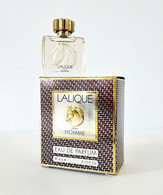 Miniatures De Parfum   LALIQUE Pour HOMME CHEVAL  EDP   4.5 Ml  + Boite - Miniatures Hommes (avec Boite)