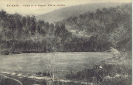 Felenne Vallée De La Houille Vue Du Gouffre 1911 Edit. Furnaux - Beauraing