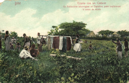 PC CPA ANGOLA / PORTUGAL, TYPOIA COM UM CADAVER, VINTAGE POSTCARD (b13285) - Angola