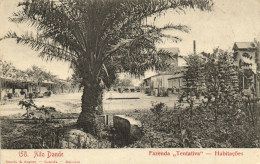 PC CPA ANGOLA / PORTUGAL, ALTO DANDE, FAZENDA "TENTATIVA", POSTCARD (b13314) - Angola