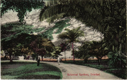 PC CPA TRINIDAD, PORT OF SPAIN, BOTANICAL GARDENS, VINTAGE POSTCARD (b11285) - Trinidad